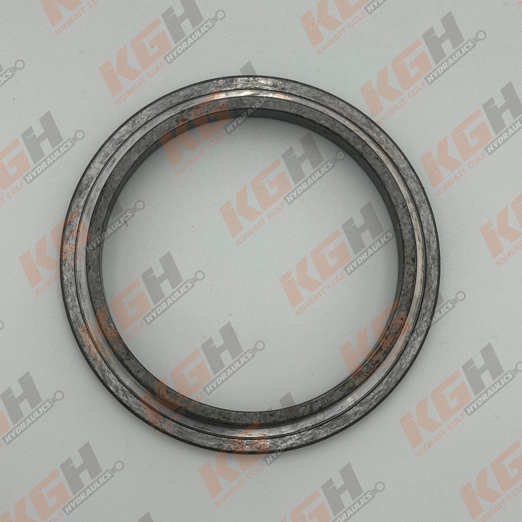 BALL GUIDE WASHER - K3V180